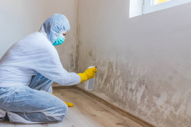 Licensed Commercial Mold Remediation service in Sedley, VA - WQB Mold Removal
