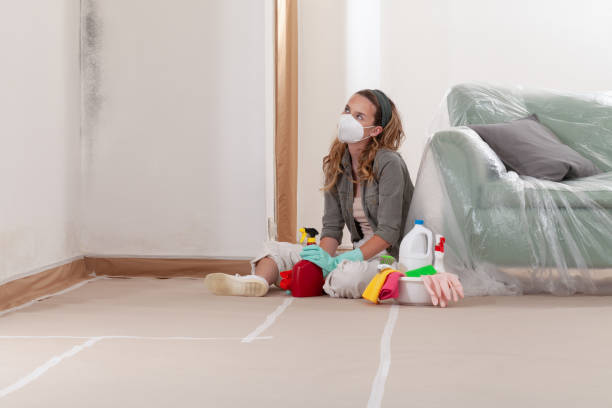 Reliable Commercial Mold Remediation contractor in Sedley, VA by WQB Mold Removal